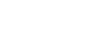 Larry H Miller Ford Logo